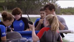 Clip 'Kyle' - L'incredibile storia di Winter il delfino 2