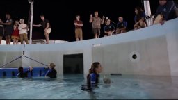 Clip 'Ascolta papà' - L'incredibile storia di Winter il delfino 2