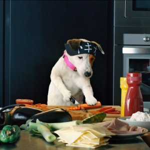 Pongo il cane milionario: Pongo si diletta in cucina in una scena del film