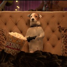 Pongo il cane milionario: Pongo gioca alla Playstation in una scena del film