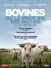 Locandina di Bovines