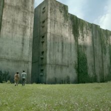 Maze Runner - Il labirinto: una suggestiva scena del film