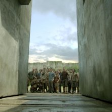 Maze Runner - Il labirinto: una scena di gruppo tratta dal film