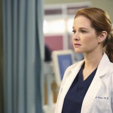 Grey's Anatomy: Sarah Drew nell'episodio I Must Have Lost It on the Wind'