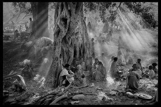 Trailer - Le Sal de la Terre