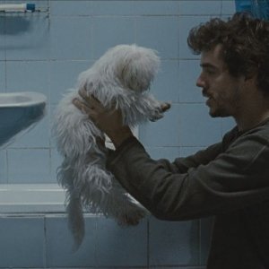 Medianeras - Innamorarsi a Buenos Aires: Javier Drolas con il suo cagnolino in una scena del film