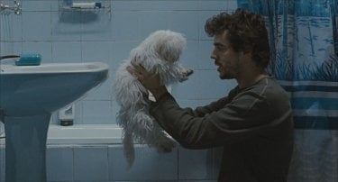 Medianeras - Innamorarsi a Buenos Aires: Javier Drolas con il suo cagnolino in una scena del film