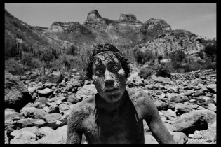 Trailer Italiano - Il Sale della Terra