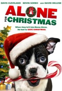 Locandina di Alone for Christmas