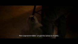 Trailer Italiano - Il mio amico Nanuk