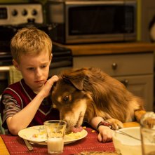 Lo straordinario viaggio di T.S. Spivet: Kyle Catlett nel ruolo di T.S. Spivet in una scena del film