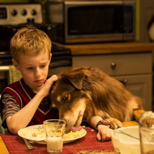 Lo straordinario viaggio di T.S. Spivet: Kyle Catlett nel ruolo di T.S. Spivet in una scena del film
