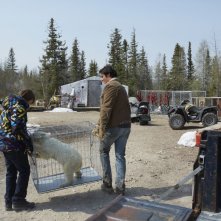 Il mio amico Nanuk: Dakota Goyo e Goran Visnjic trasportano l'orsetto Nanuk in una scena del film