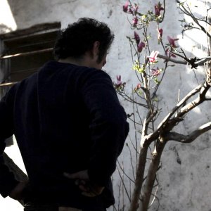 Mauro: un'immagine di scena del film