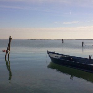 Due volte Delta: una scena del documentario tratta dall'episodio 'Il pesce siluro'