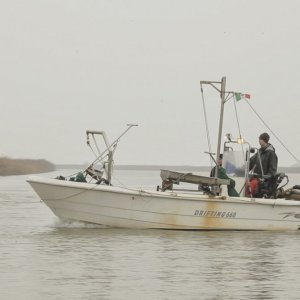 Due volte Delta: una scena tratta dall'episodio 'Il pesce siluro'