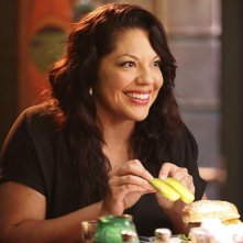 Grey's Anatomy: Sara Ramirez in Bend or Break