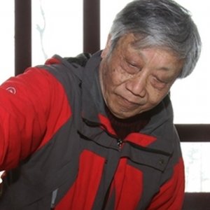 Locandina di Chen Jialing