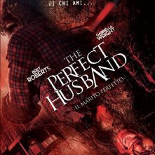 Locandina di The Perfect Husband