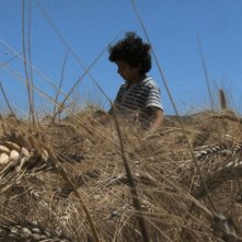 Sarà un Paese: il piccolo Elia Saman in una scena del film