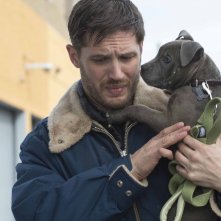 Chi è senza colpa: Tom Hardy in una tenera scena del film