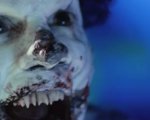 Clown: una scena in esclusiva dall'horror prodotto da Eli Roth