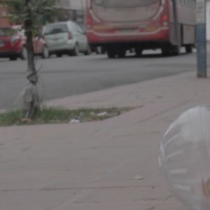 Announce Earthquakes: una scena del film