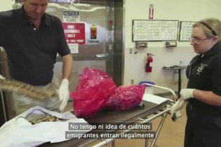 Trailer - Who is Dayani Cristal?