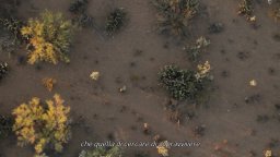 Trailer Italiano - Chi è Dayani Cristal?