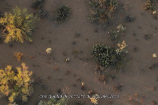 Trailer Italiano - Chi è Dayani Cristal?