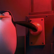 Skipper in una scena de 'I pinguini di Madagascar'