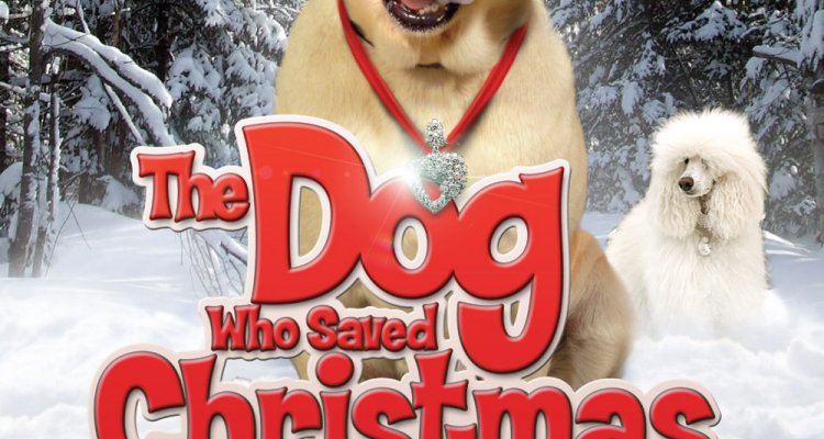 Film Di Natale Con Un Cane Bianco