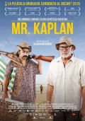 Locandina di Mr. Kaplan