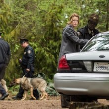 Gracepoint: l'attrice Anna Gunn nella settima puntata
