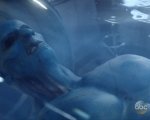 Agents of S.H.I.E.L.D.: confermata l'identità dell'alieno blu