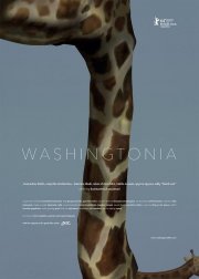 Locandina di Washingtonia