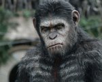 Apes Revolution - Il pianeta delle scimmie: il 9 dicembre il cinetweet