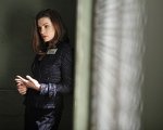 The Good Wife: lettera aperta dei fan a RaiDue
