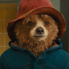 Paddington: il simpatico orsetto in un primo piano tratto dal film