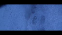 Trailer - In the Box