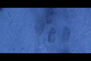 Trailer - In the Box