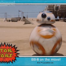 Bb 8