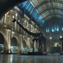 Paddington: il simpatico orsetto al London Natural History Museum in una scena del film