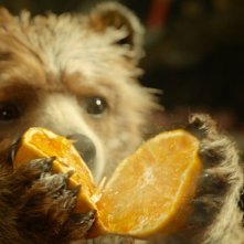 Paddington: il simpatico orsetto alle prese con un'arancia in un momento del film