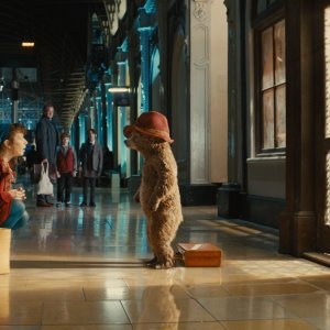 Paddington: Sally Hawkins parla con Paddington alla stazione in una scena del film