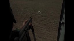 Trailer - Concerning Violence