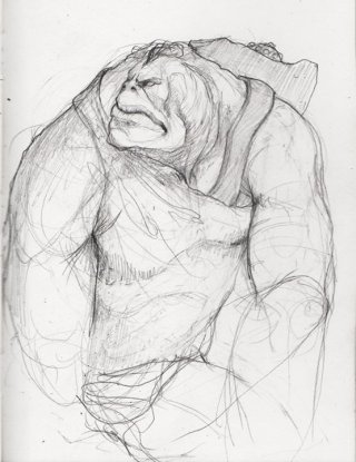 Un disegno di Stefano Dubay
