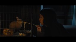 Trailer - Kumiko, the Treasure Hunter 