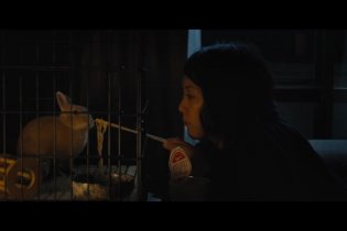 Trailer - Kumiko, the Treasure Hunter 