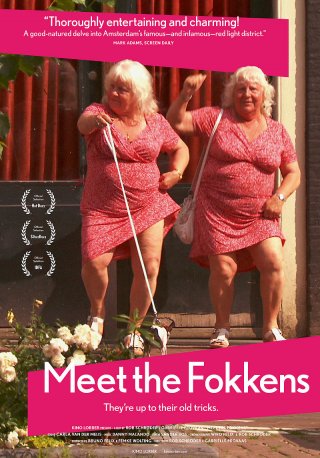 Locandina di Meet The Fokkens